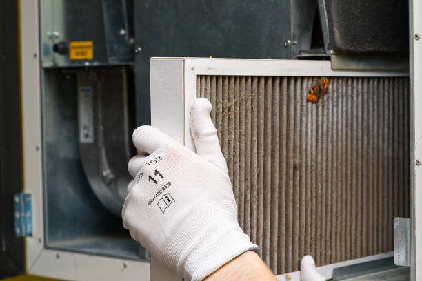 Best Affordable Duct Cleaning Services  in Cameron, TX